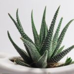 resized_18_api
